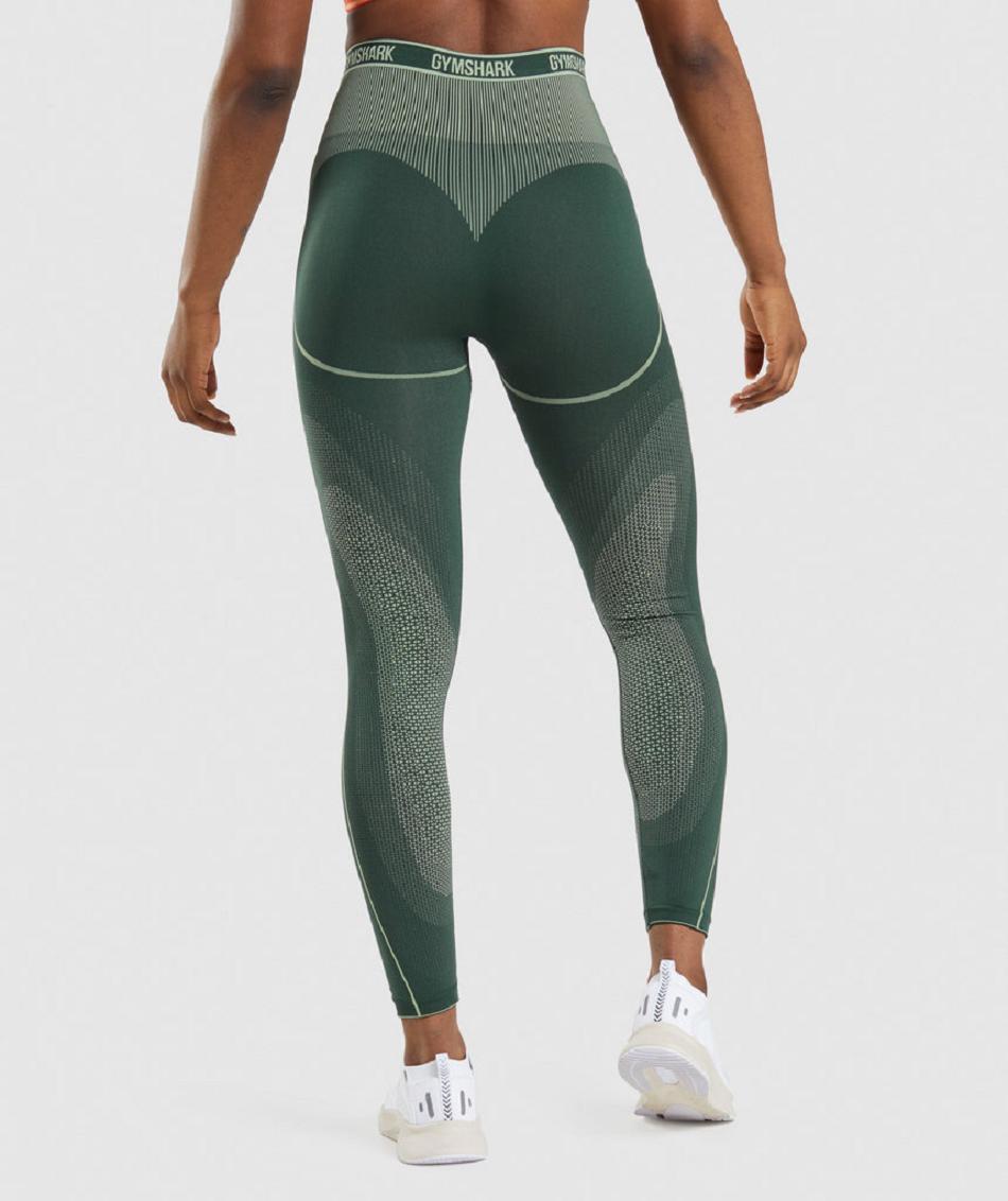 Gymshark Apex Seamless High Rise Ženske Tajice Obsidijanske Zelene Zelene | HR 4089ZUT